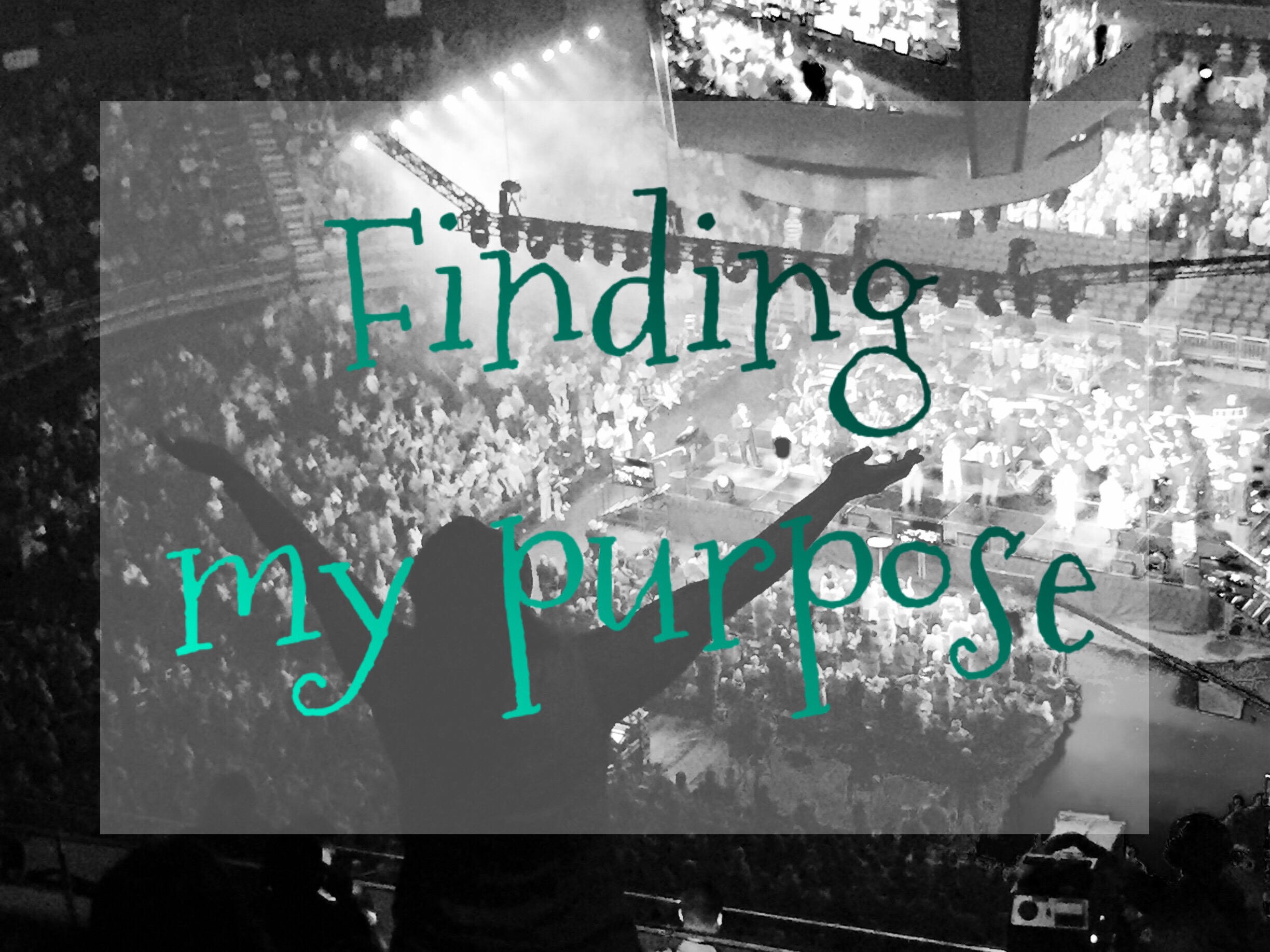 Finding my purpose