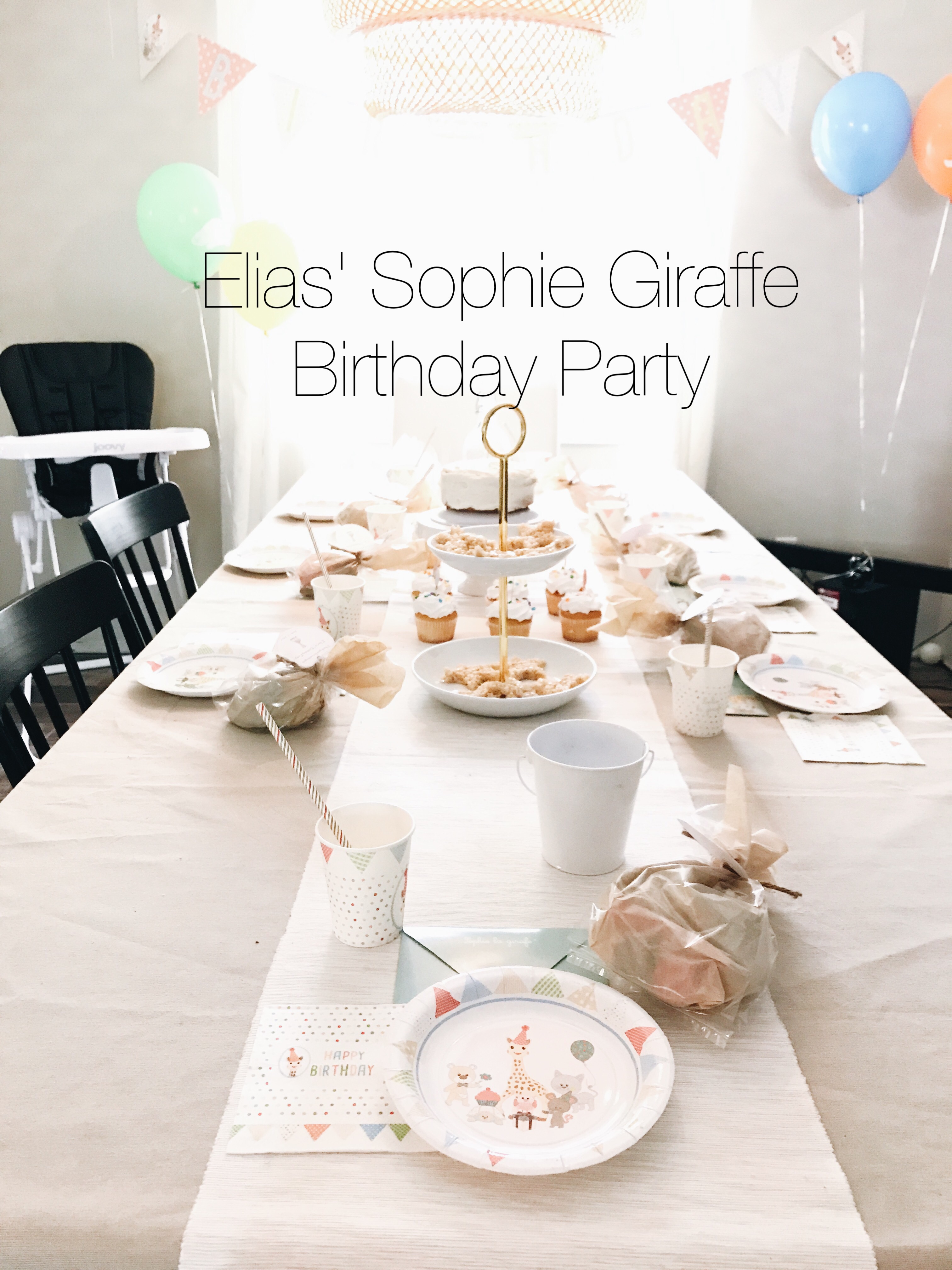 Elias’ Sophie Giraffe Birthday Party