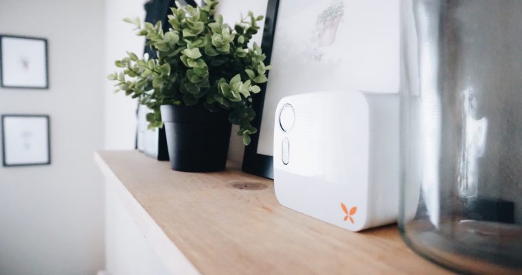 Ooma Butterfleye Review