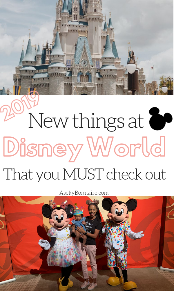 New Things at Disney World 2019