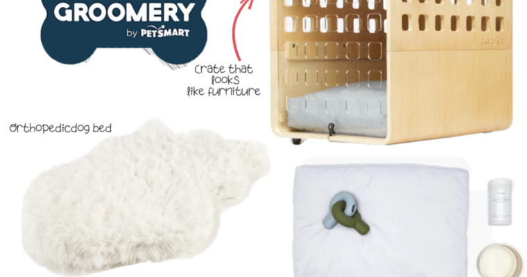 Holiday Gift Guide-For The Dog